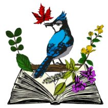 Blue Jay holding a maple leaf.